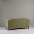 Dolittle 3 Seater Sofa in Intelligent Velvet Green Tea, Back View - Nicola Harding
