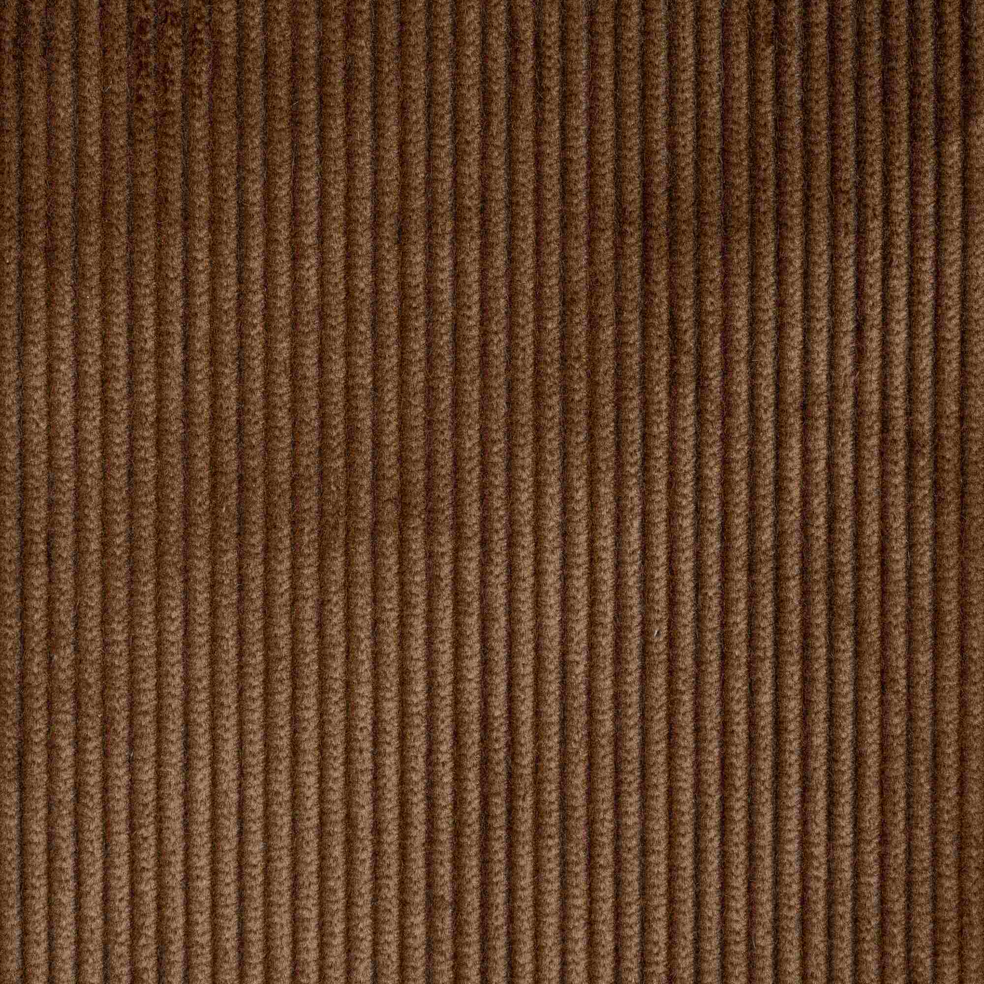 Texture Closeup of Heavy-weight Organic Cotton, Classic Corduroy Tobacco
