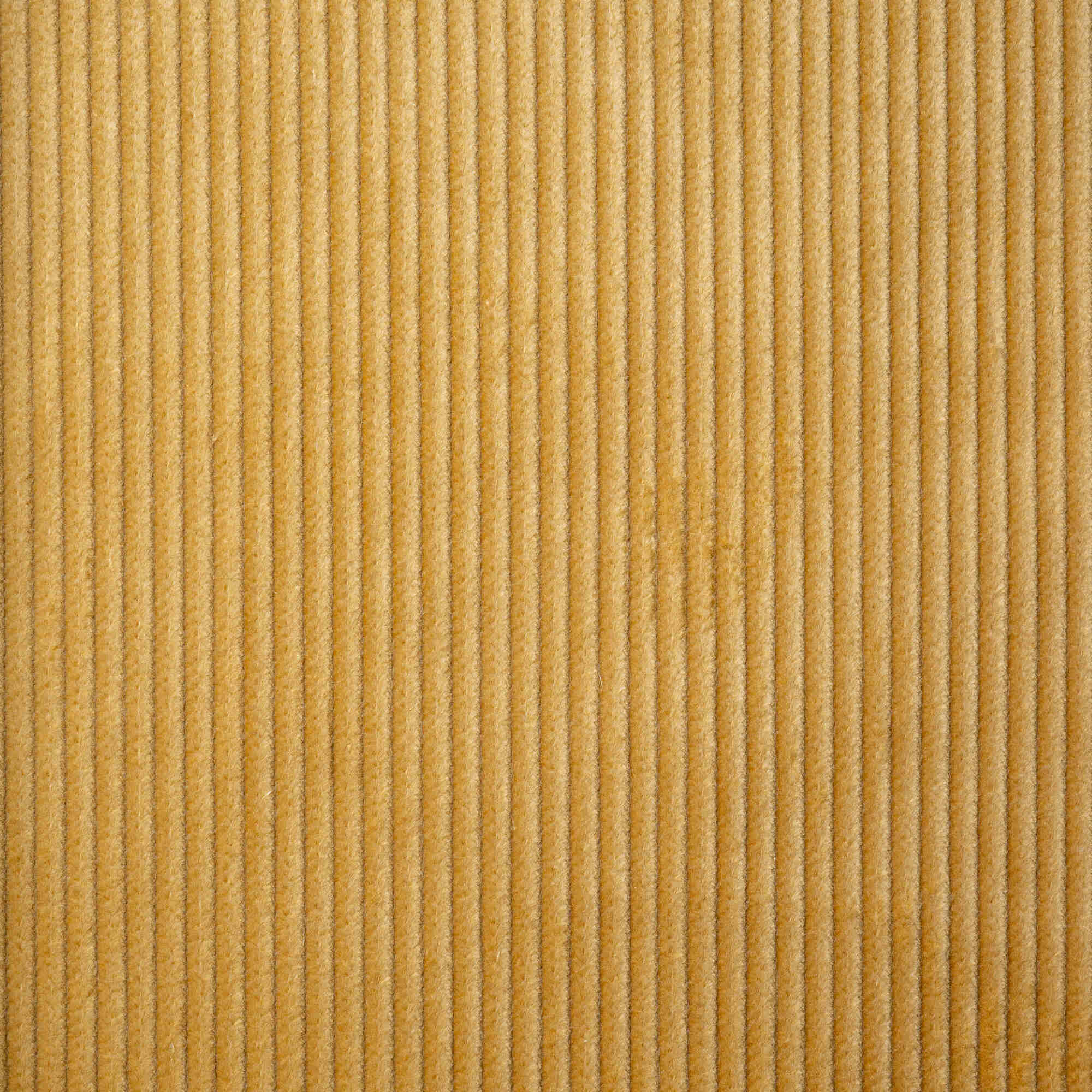 Texture Closeup of Heavy-weight Organic Cotton, Classic Corduroy Wheat