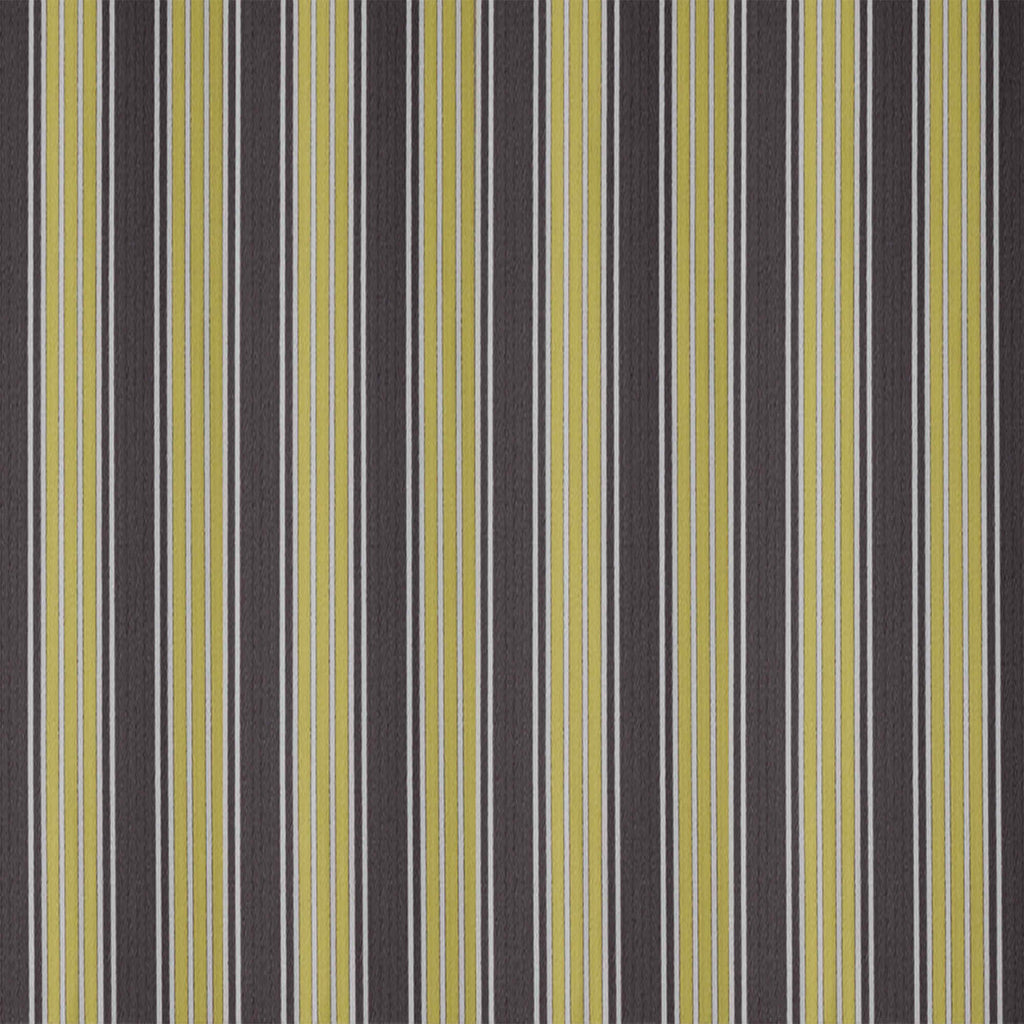 Mid-weight Organic Cotton, Regatta Custard