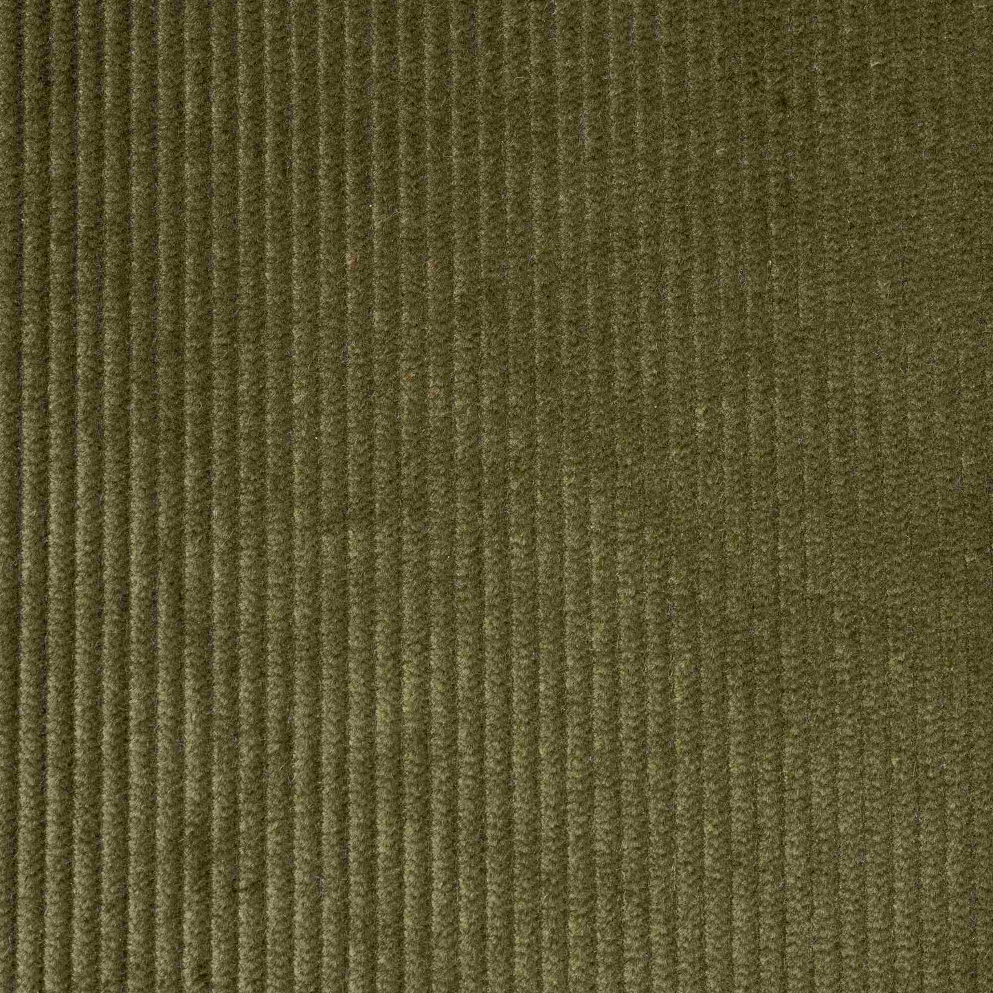 Heavy-weight Organic Cotton, Classic Corduroy Caper