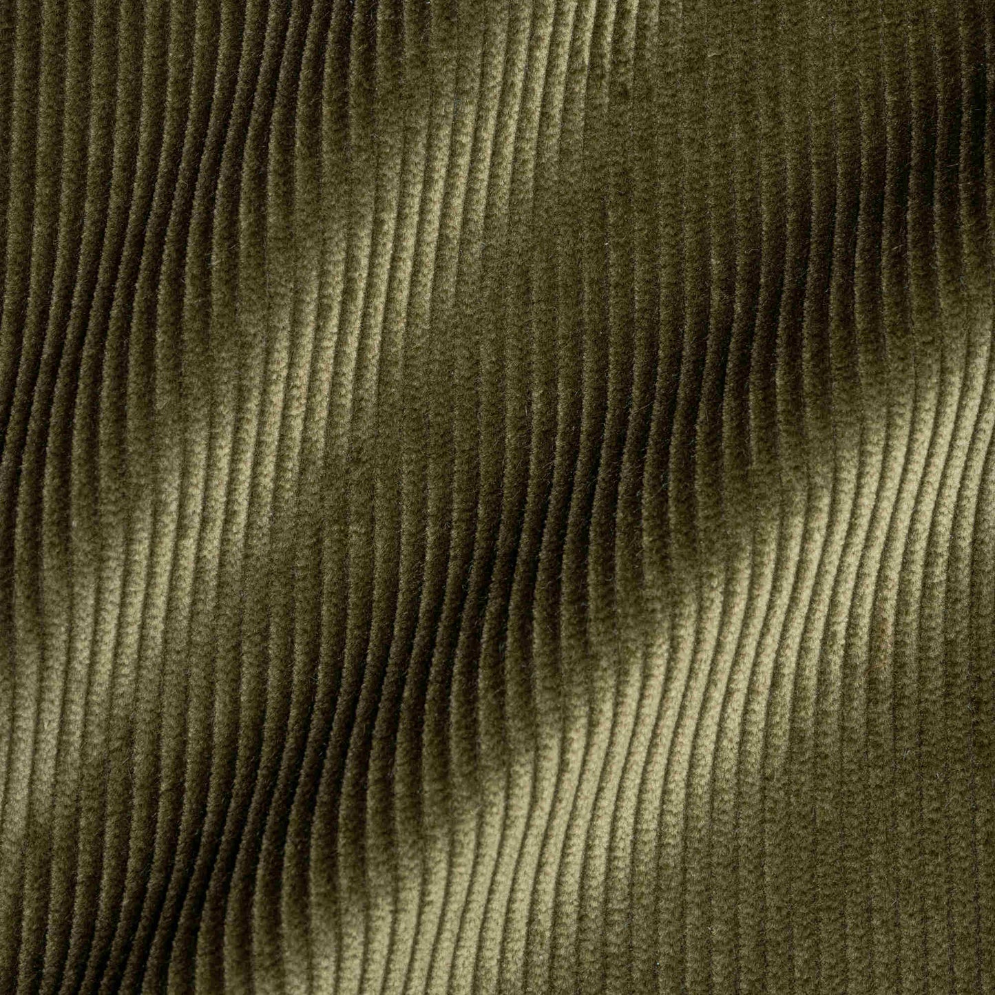 Heavy-weight Organic Cotton, Classic Corduroy Caper