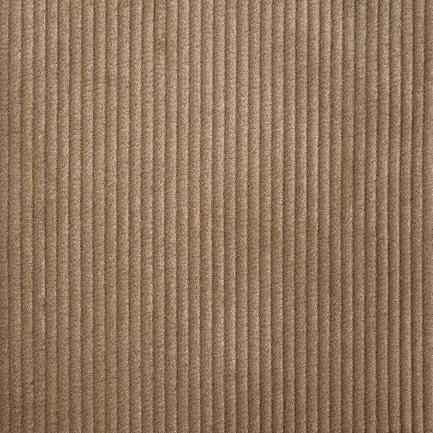 Heavy-weight Organic Cotton, Classic Corduroy Stone Beige