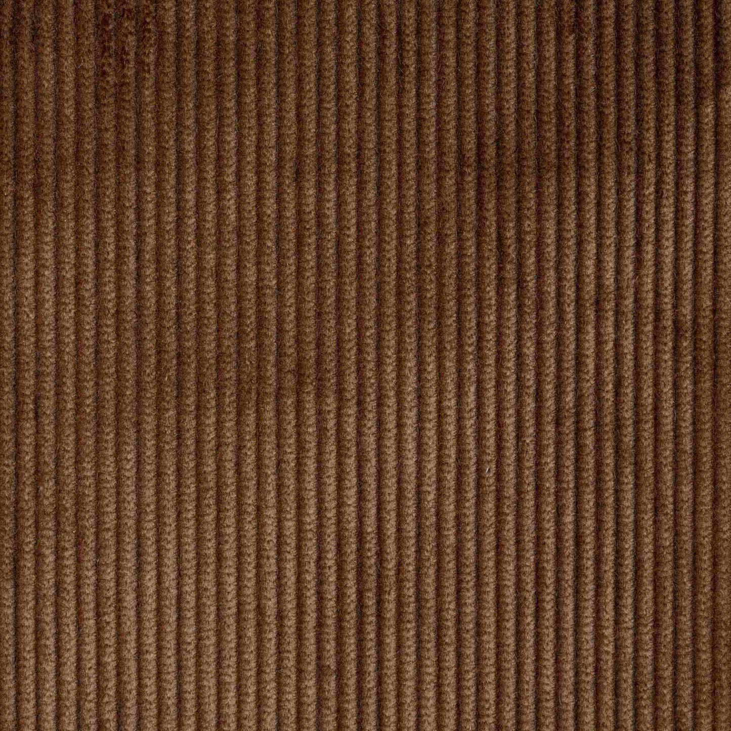 Texture Closeup of Heavy-weight Organic Cotton, Classic Corduroy Tobacco