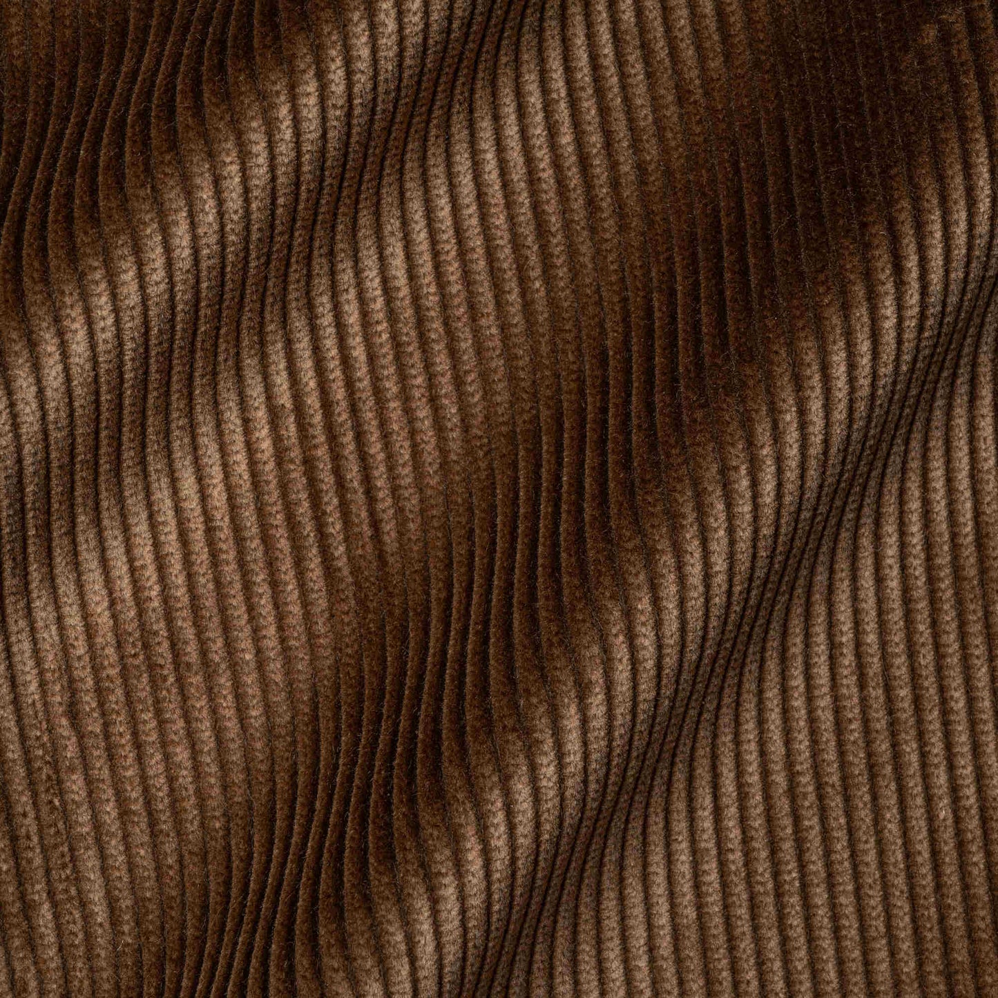 Heavy-weight Organic Cotton, Classic Corduroy Tobacco