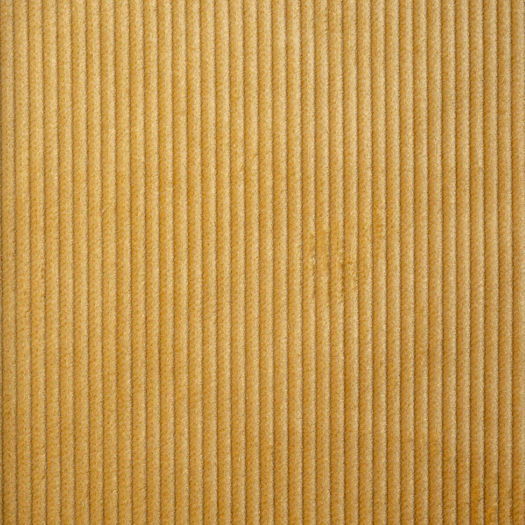  Texture Closeup of Heavy-weight Organic Cotton, Classic Corduroy Wheat 