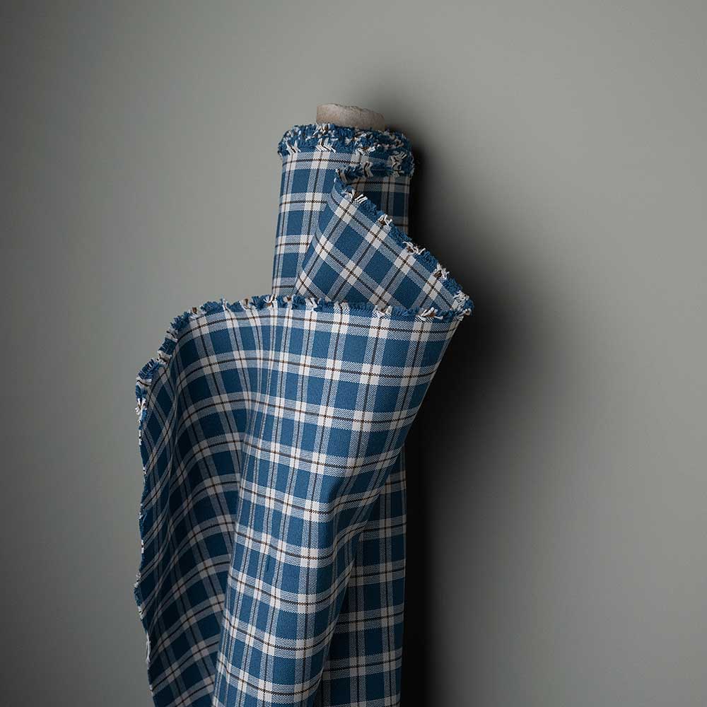 Blue and white checkered cloth decoratively displayed on a wall.