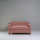  Idler 2 Seater Sofa in Intelligent Velvet Rose - Nicola Harding 