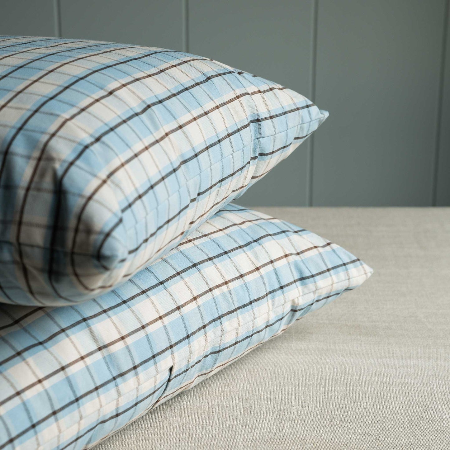 Pair of pillows featuring blue and white plaid design.