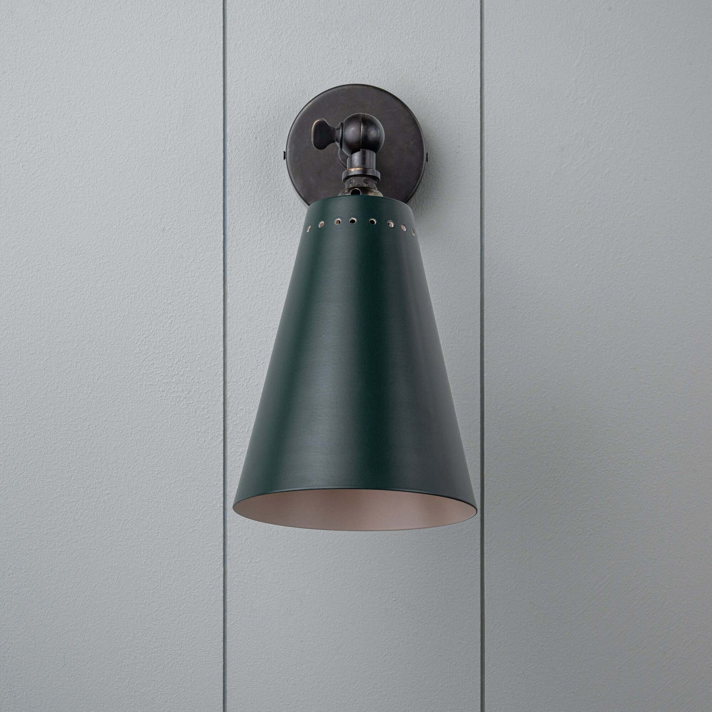 Brass Waxed Picture Light With Shade
