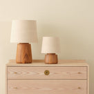  Mini desk Lamp in Silver 