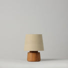  90's Mini Desk Lamp Rose in Silver - Nicola Harding 